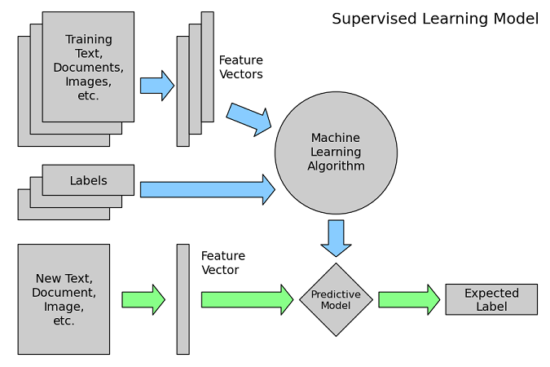training process