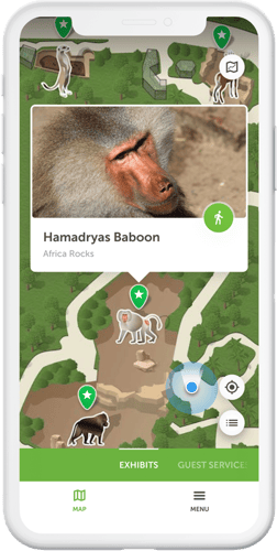 San Diego Zoo Mockup 3