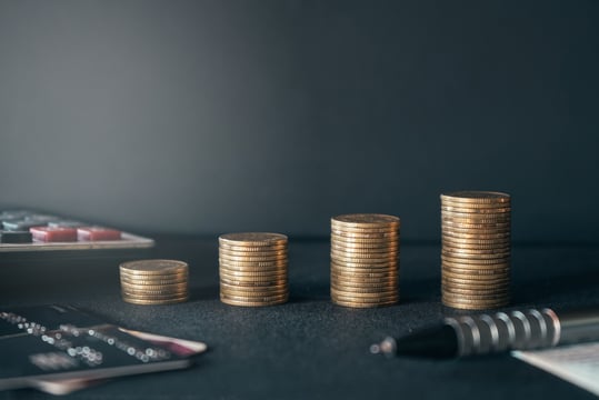 Offset Development Costs by White-Labeling Your Software Solution