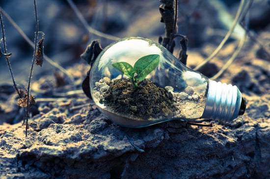the rise & importance of green startups_pexels_12_10_2019 (1)