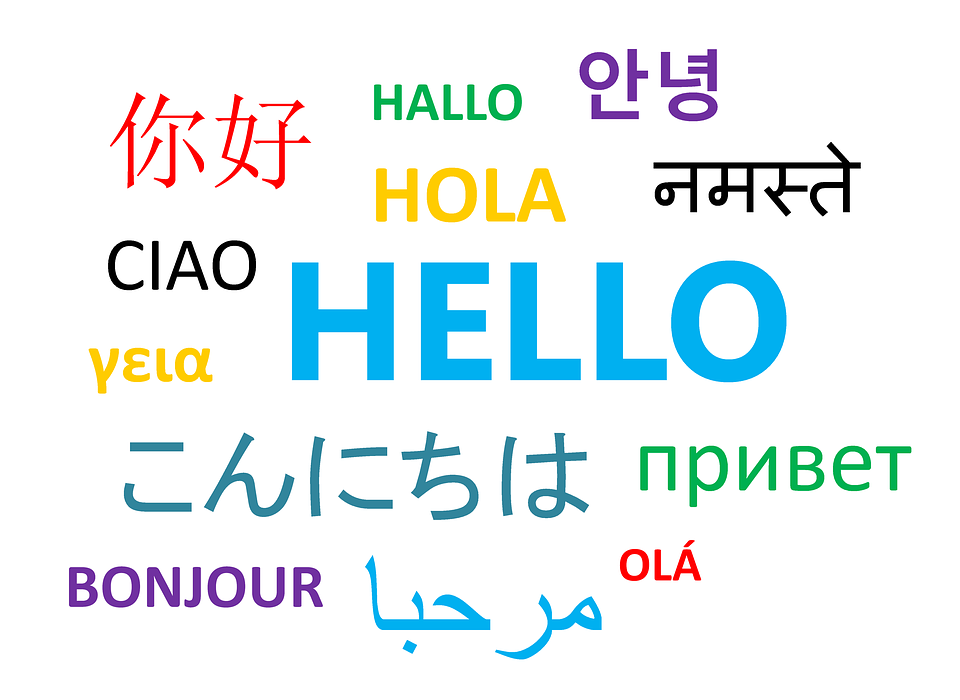 languages mobile app

