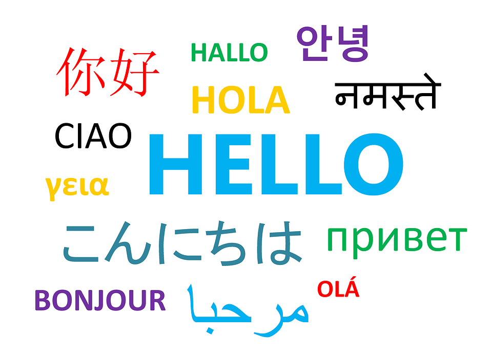 languages mobile app