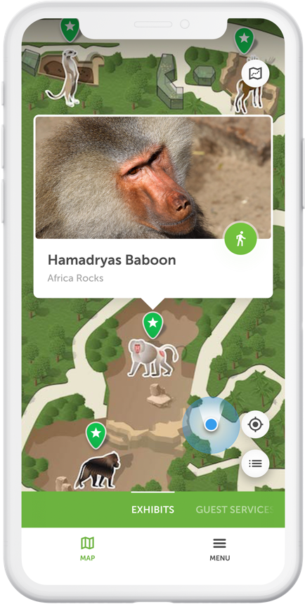 San Diego Zoo Mockup 3