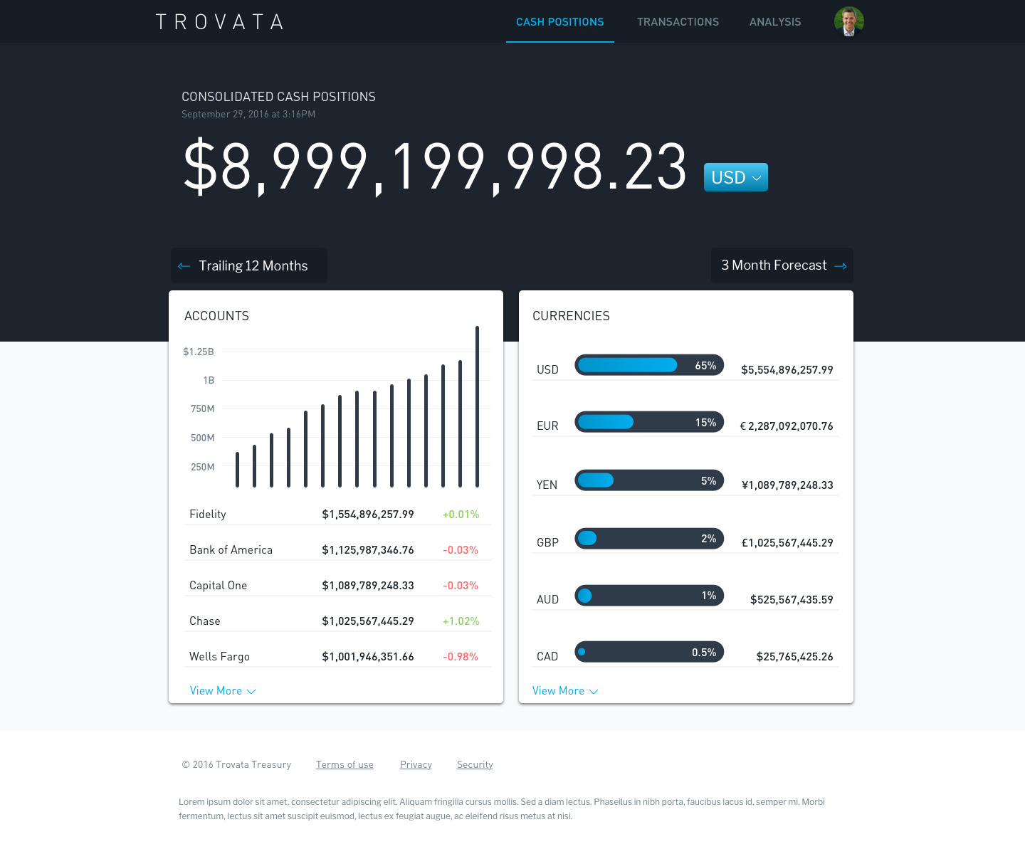 alt="Trovata application cash positions screen"