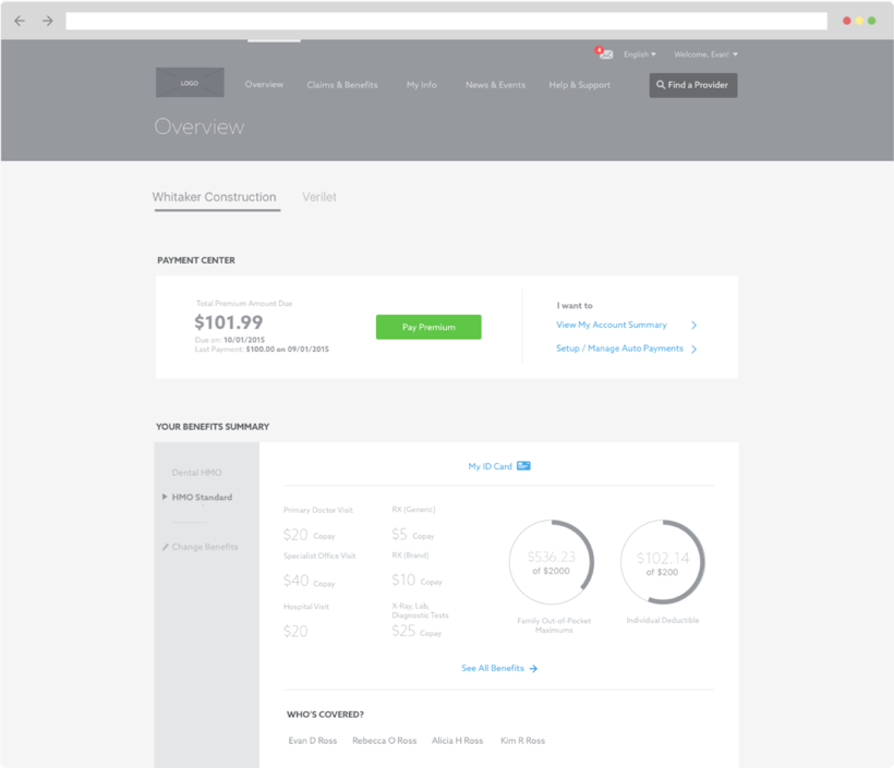 Wireframe for Aldera project displays overview screen