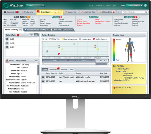 Screenshot of WellMed’s custom medical web application